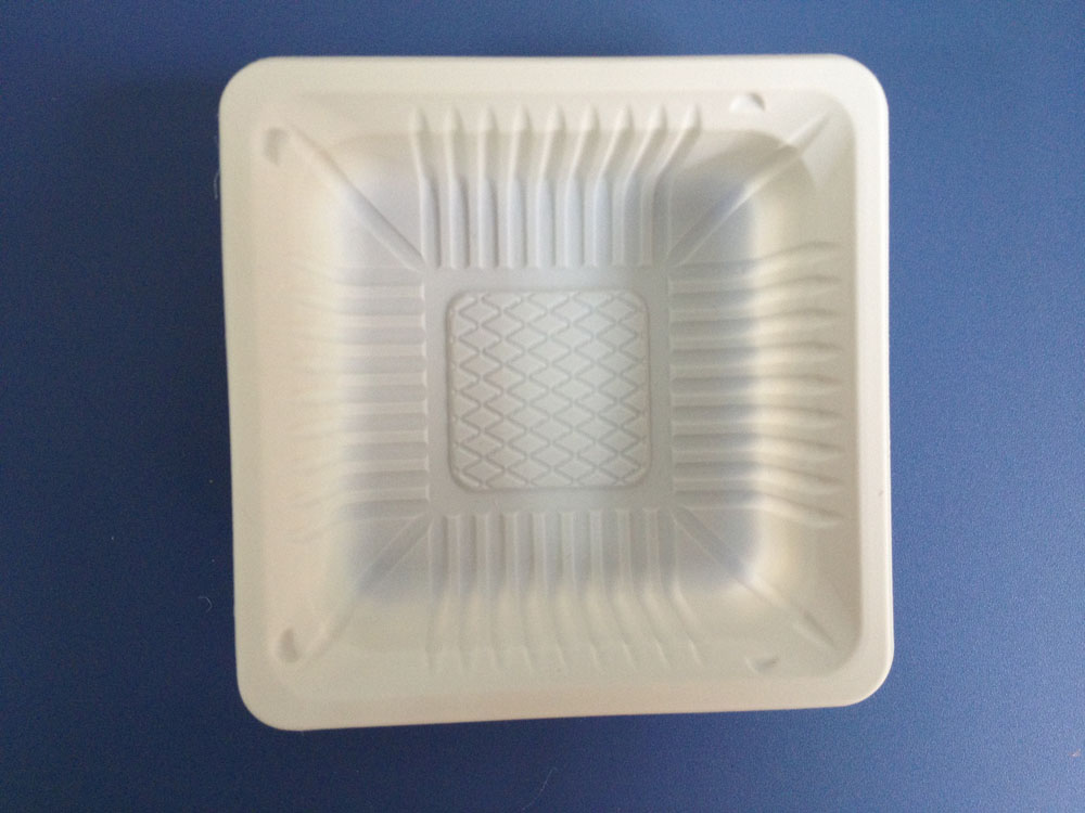 Biodegradable Food Container